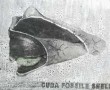 Kunstwerk Cuba fossile shell