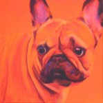 Oranje Bulldog