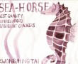 Kunstwerk Seahorse Flashlight Crackers
