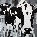 Closely Cows