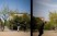 Berlijn Gorlitzerpark  boom 1 uitsnede panorama