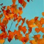 Kunstwerk Herfstbladeren