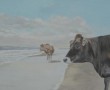 Kunstwerk twee koeien strand