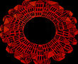 on the edge of a black hole