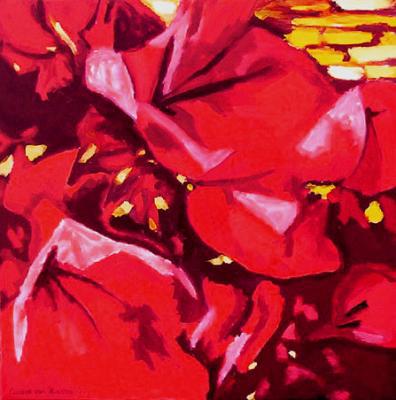 N150 bougainvillea 2 N150 bougainvillea 2