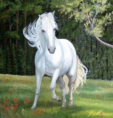 Wit paard in landschap Wit paard in landschap