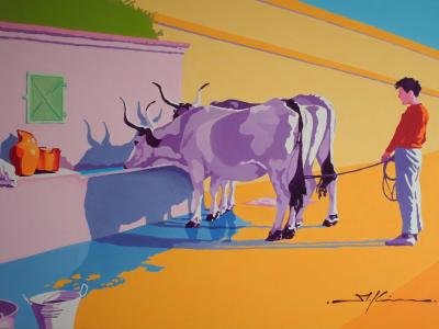 boy and thirsty oxen