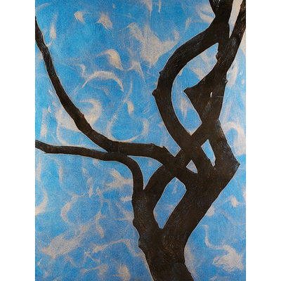 Witchtree Witchtree