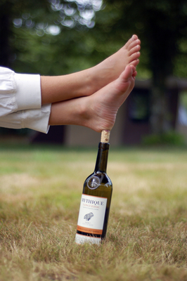 relax |riˈlaks| relax |riˈlaks|