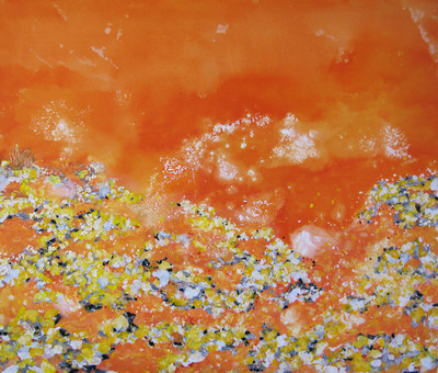 Pollen Pollen