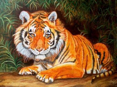Tijger Tijger