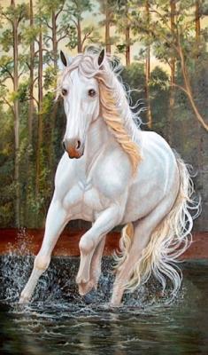 Wit paard  in het water