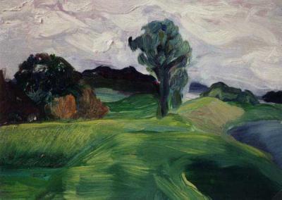 landschap landschap