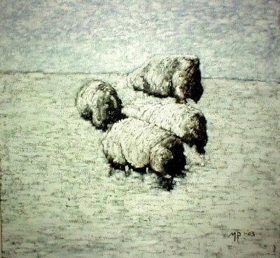 landschap9 landschap9