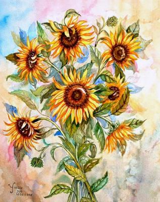 Zonnebloemen Zonnebloemen
