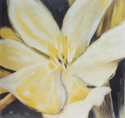 N26 Yucca N26 Yucca