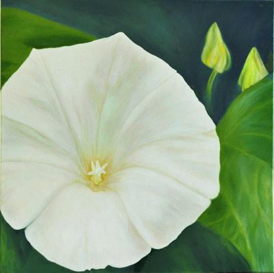 witte winde 1 witte winde 1