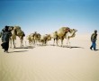 Kunstwerk Sahara in niger