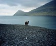 Kunstwerk Faroer Eilanden 3 Paarden