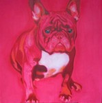 Rose Bulldog