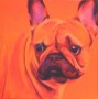 Kunstwerk Oranje Bulldog