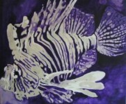 Purple Lionfish