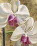 Kunstwerk Orchidea oro