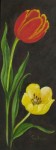 bloemstilleven: Rode en gele tulp