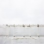 white Kunstwerk white