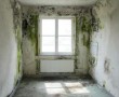 kamer 1.1 kamer 1.1