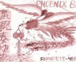 Kunstwerk Phoenix Brand Firecrackers