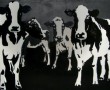 Kunstwerk Cow Parade