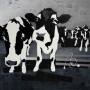 Kunstwerk Silver Cows