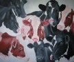Kunstwerk koeien portret