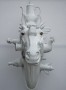 horse head white boogie woogie horse head white boogie woogie