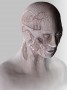 Kunstwerk Tabula rasa imaginary anatomy