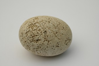 witte steen