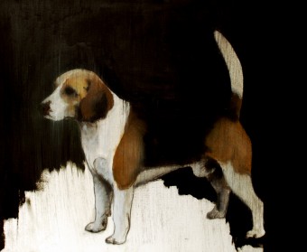 Sad Beagle