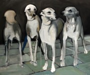 4 Whippets