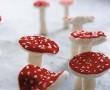 paddestoelen paddestoelen