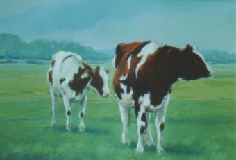 Twee koeien in landschap