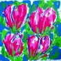 Kunstwerk Tulpen Magenta (70x70)