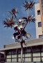 Distel Distel