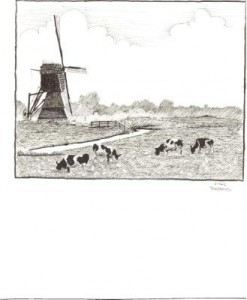 koeien in de polder