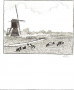 Kunstwerk koeien in de polder