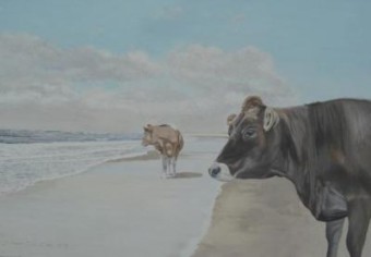 twee koeien strand