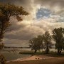 De drie bomen, twee honden en twee vuilnisbakken De drie bomen, twee honden en twee vuilnisbakken