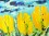 ~ Tulpen-landschap Geel (60x80) ~