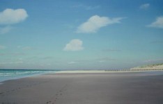 (14) strand van Zeeland met paaltjes 