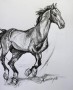 Kunstwerk Paard 5